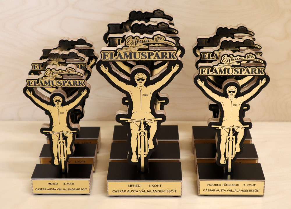 Karikate valmistamine tallinnas