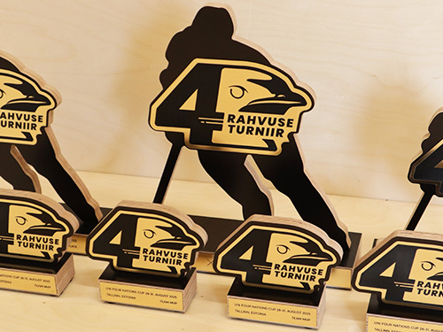 auhinnad ja karikad - hoki karikad