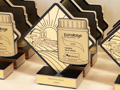 auhinnad - karikate tellimine