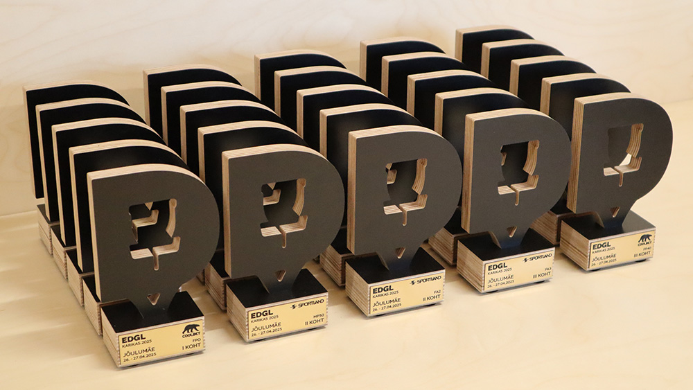 karika tellimine - discgolf karikad