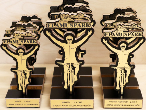 karikad - karikate tellimine tallinnas