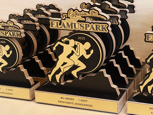 karikad kiirelt - karikate tellimine