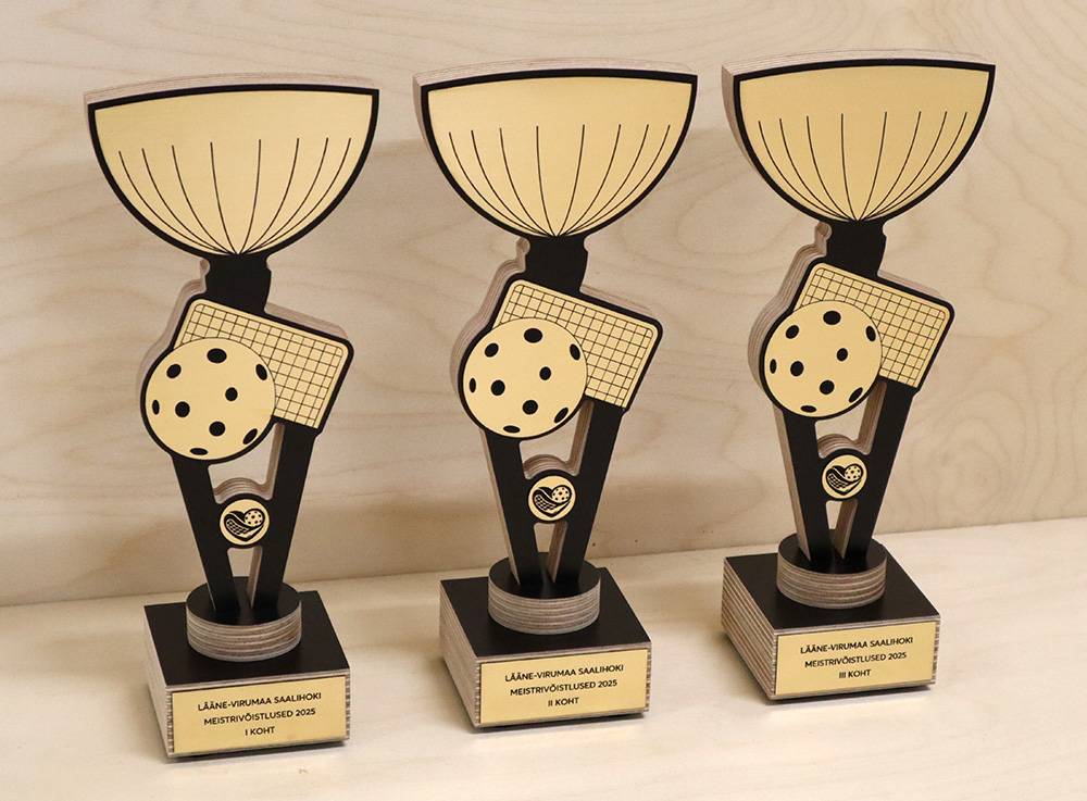 karikate tellimine - saalihoki karikad