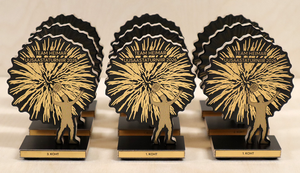 karikate tellimine Tallinnas