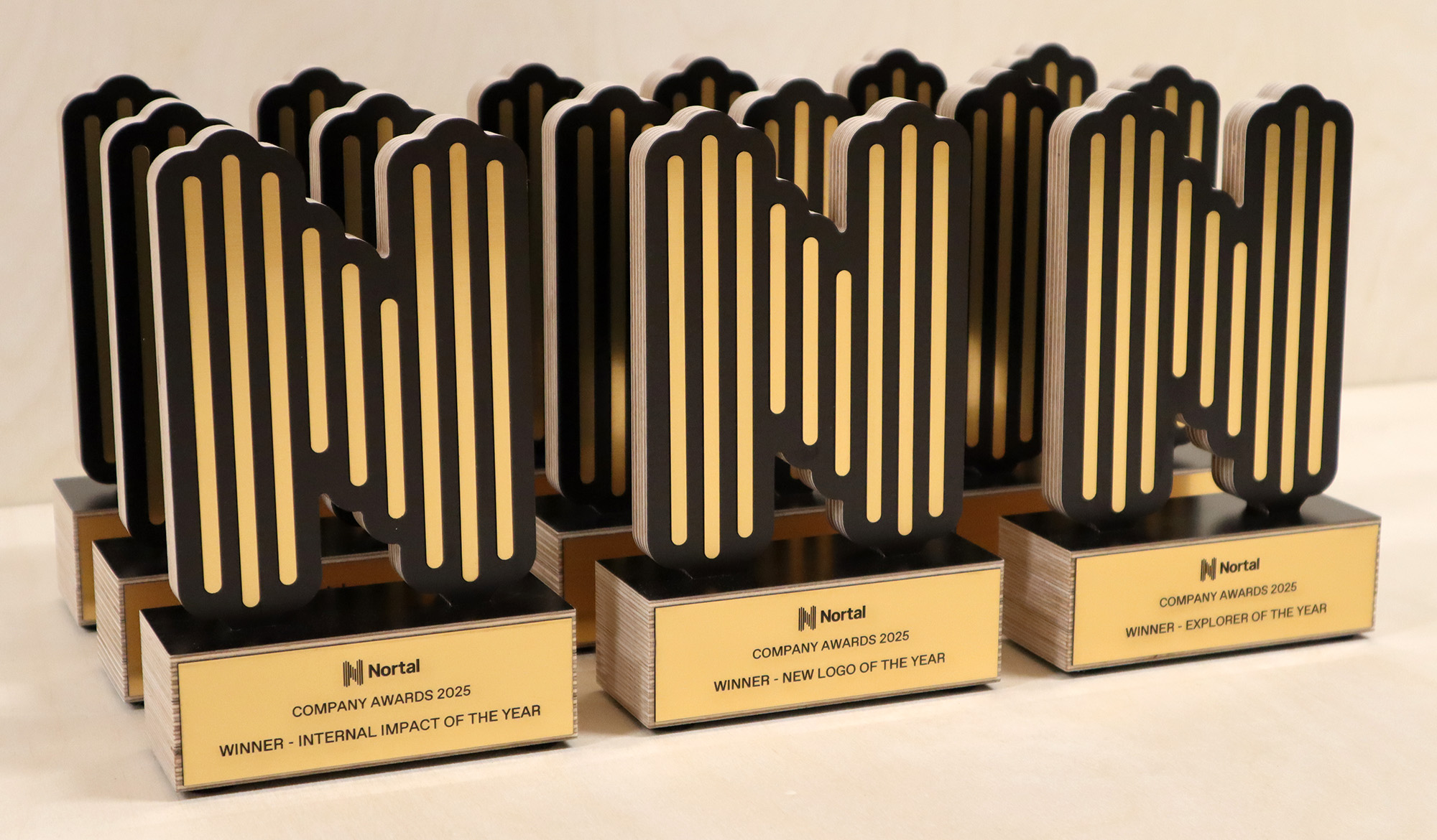 karikate tellimine - karikate valmistamine - auhinnad